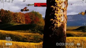 ПЕРЬЯ ДВА СТВОЛА просто морхухн moorhuhn jagd