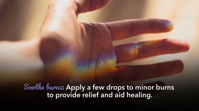 What's French Lavender Oil Good For? Find Out! смотреть онлайн