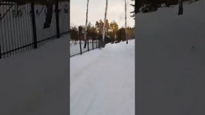 25 февраля 2024 г Горицы семейный клуб Липецкая область обзор территории 1