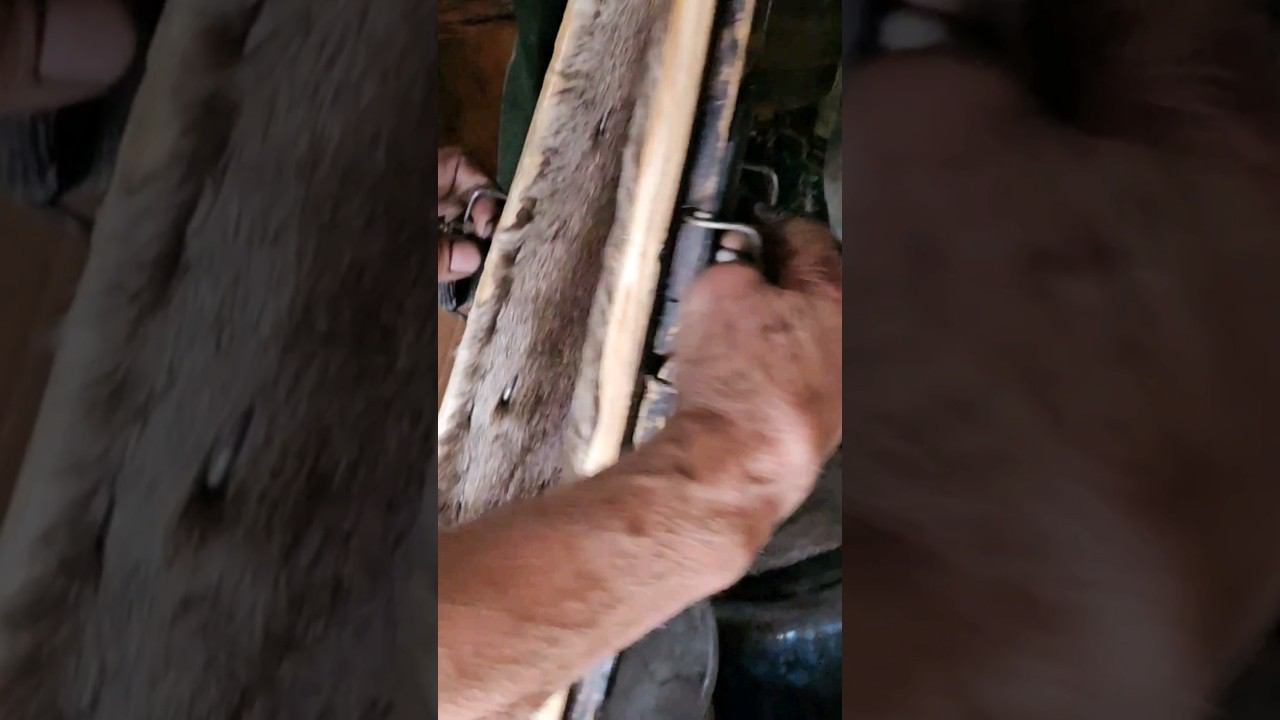 ОТШЕЛЬНИК ГЕОРГИЙ КАМУС#жизньвтайге #отшельник #тайга #shot