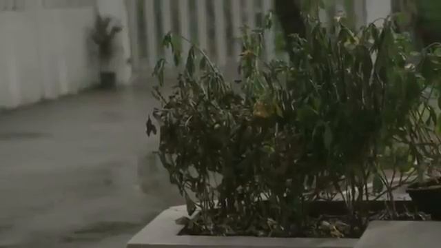 Сестры. Социальный ролик. смотреть онлайн