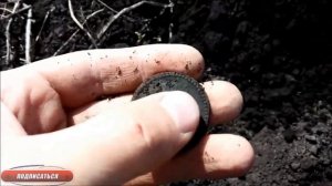 Удачный коп с Minelab Safari