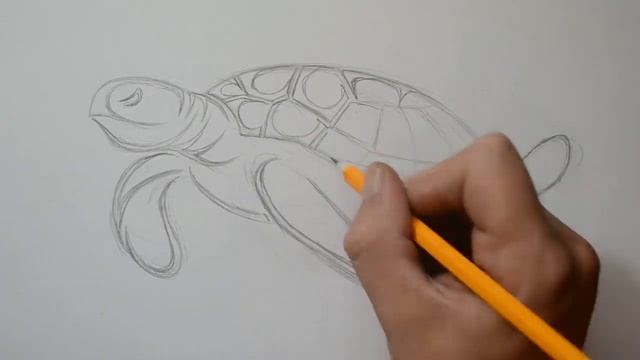 How to Draw a Sea Turtle - Tribal Tattoo Design Style смотреть онлайн