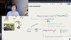 КРУГОВОРОТ АЗОТА. ЕГЭ. Аммонификация/Нитрификация/Денитрификация