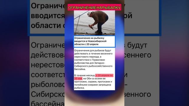 ❌? Запрет на рыбалку в Новосибирске | отправь другу ? #новости #новосибирск #нсо #рыбалка #рыба