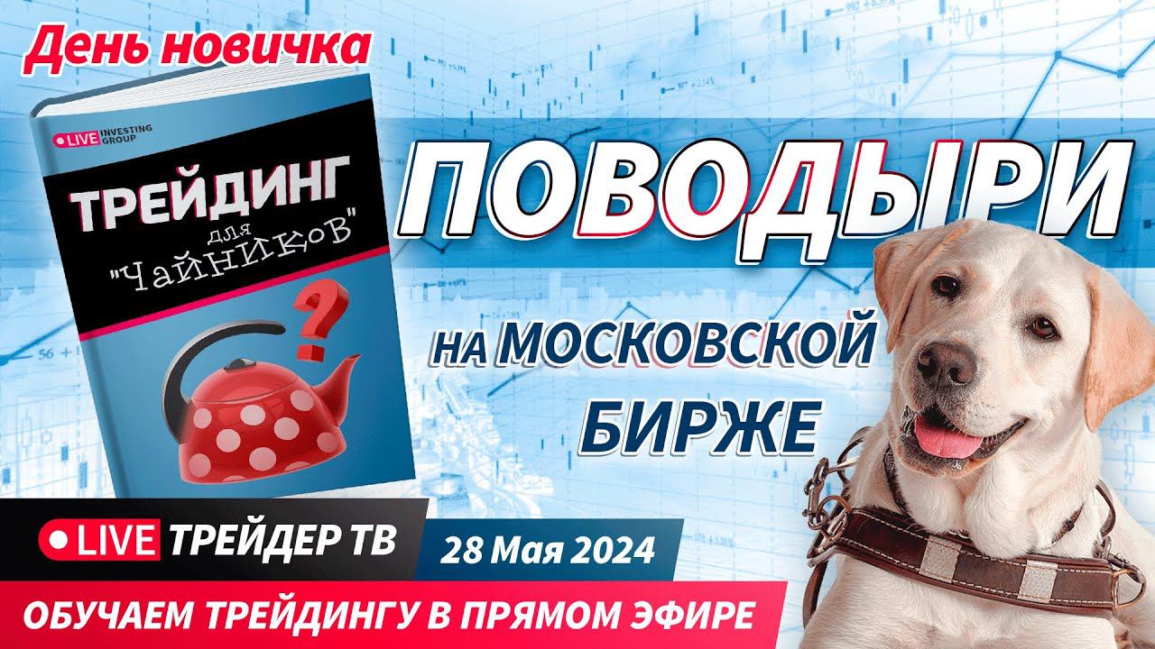 День новичка. Обучение трейдингу в прямом эфире. Поводыри на Московской бирже | Live Трейдер ТВ