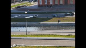 Камеры HONOR 20 PRO в действии!