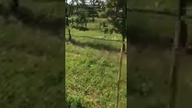 Фиксатор индивидуальной опоры