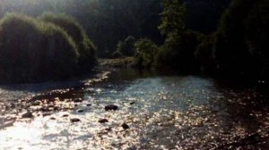 A la claire fontaine / At the clear fountain