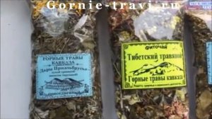 Самые полезные лекарственные травы и сборы