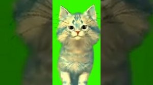 Теперь я часто буду снимать с этим котом! Как сделать кота как у Кошки Ланы!