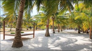 🌞 🏖️  Equator Village Resort, Addu Atoll (seenu), Maldives |  Spend Your Vacation in Maldives .