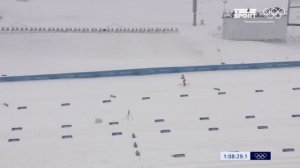 Мужская эстафета. Лыжная гонка. Олимпиада 2022