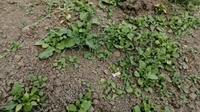 Абинск смотреть онлайн