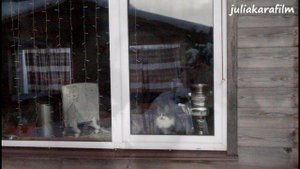 Бродский, Сурганова "Неужели не я"