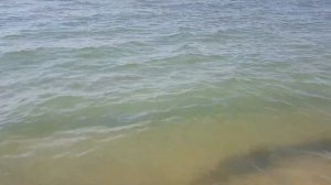 Пляж, где самое тёплое море в Крыму на сегодня-температура воды 29 градусов!