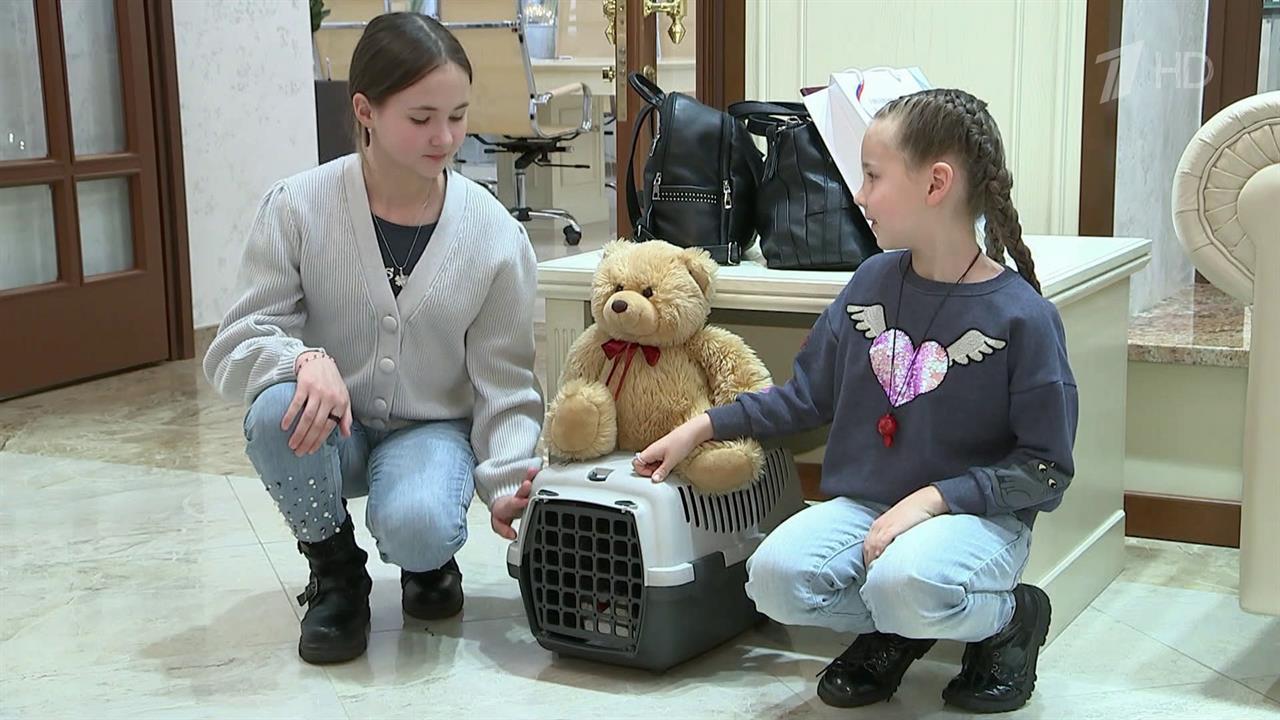 В Россию приехали две девочки, которые из-за действий украинских спецслужб остались без родителей