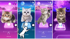 Cute Cats vs Cute Puppy Lady Gaga Bloody Mary Shakira Waka Waka Bongo cat vs dog Tiles Hop EDM Rush