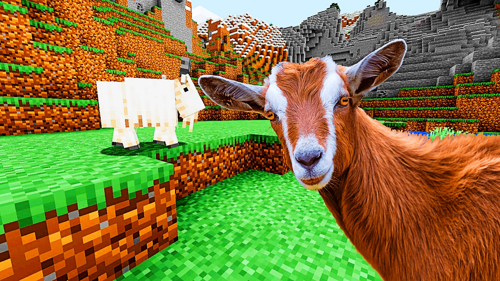 Realistic Sheep in MineCraft ? #YoSquad #minecraft #майнкрафт #shorts