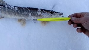 Копия Рирейндж 130 от Биркинг.