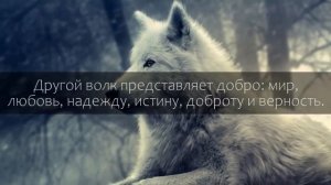 Притча Про Двух Волков! Смотреть Всем!?