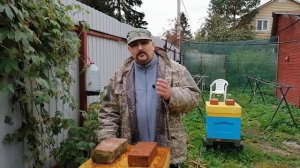 ? Подкормка пчел осенью сахарным сиропом. Проверка забора сахарного сиропа из пакета ?
