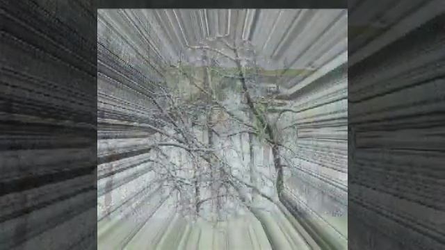 Київський зоопарк, зима смотреть онлайн