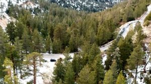 Com cuidado! vaca assustadora