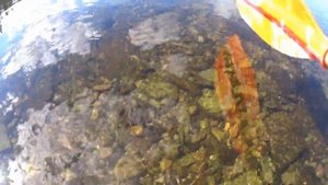 По рекам Мезень, Сула и Цильма.Часть 8. Цильма до Нонбурга.