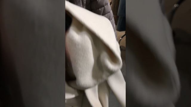 15 декабря 2023 г. смотреть онлайн