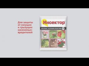 ИНСЕКТОР- ДЕЙСТВЕННЫЙ ПРЕПАРАТ ПРОТИВ САДОВЫХ ВРЕДИТЕЛЕЙ
