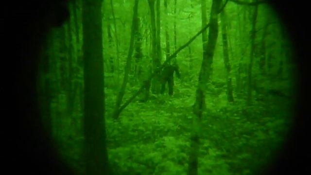 1/ PVS-14. смотреть онлайн