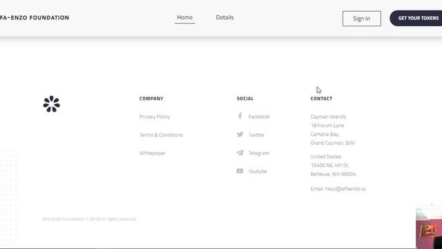 Alfa Enzo Полезная информация по проекту смотреть онлайн