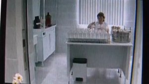 Микроклональное размножение винограда