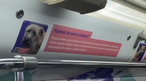 10 именных поездов метро