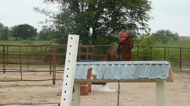 Callee Riehl and So Clever Schooling-August 15, 2013 смотреть онлайн