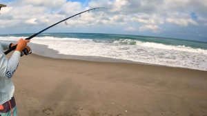 Catching Dinner while Beach Fishing - Pompano Catch 'n Cook