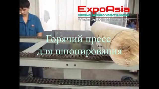 Оборудование для производства фанеры/ Купить оборудование