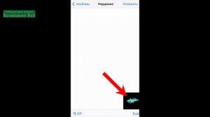 ✅ Как отправить исчезающее фото в Ватсап | Новая функция WhatsApp исчезающие фото и видео