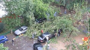 110621. Героическая эвакуация машины из зелёного плена