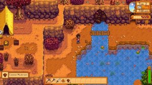 Stardew Valley - ДЮП ВЕЩЕЙ, БАГ)