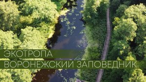 Что необходимо знать перед прогулкой по экотропе Воронежского заповедника.