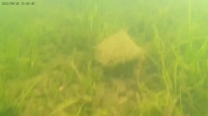 Обзор на пляж, Горячий ключ.