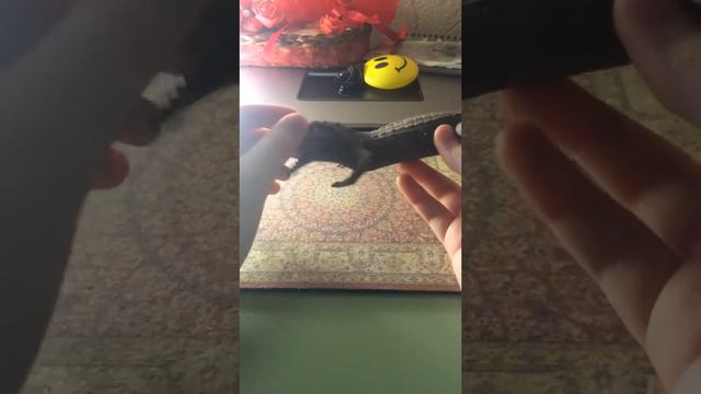 Обзор на мои резиновые игрушки) смотреть онлайн