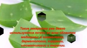 Алоэ лечебные свойства! Как использовать и самому вырастить дома!