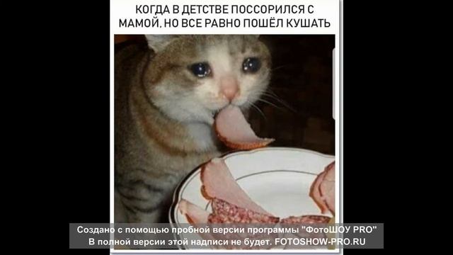 Смешные картинки с надписями и без №2 смотреть онлайн