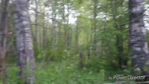 Шурф старого фундамента (часть 1)