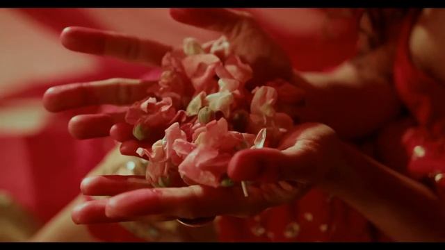 Раненое сердце. #Dok_Freeman #стихи смотреть онлайн