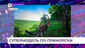 Леопард Leo 230M попал в объектив знаменитого фотографа Томаса Виджаяна