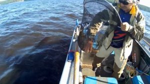 РЫБАЛКА ЛЕЩА на банку на Волге.